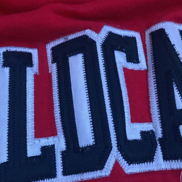 Wildcats hockey Red hoodie - Picture 3 of 4